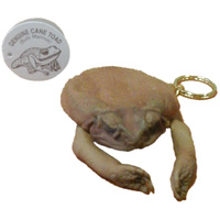 Cane Toad Leather Coin Purse With Legs - Medium